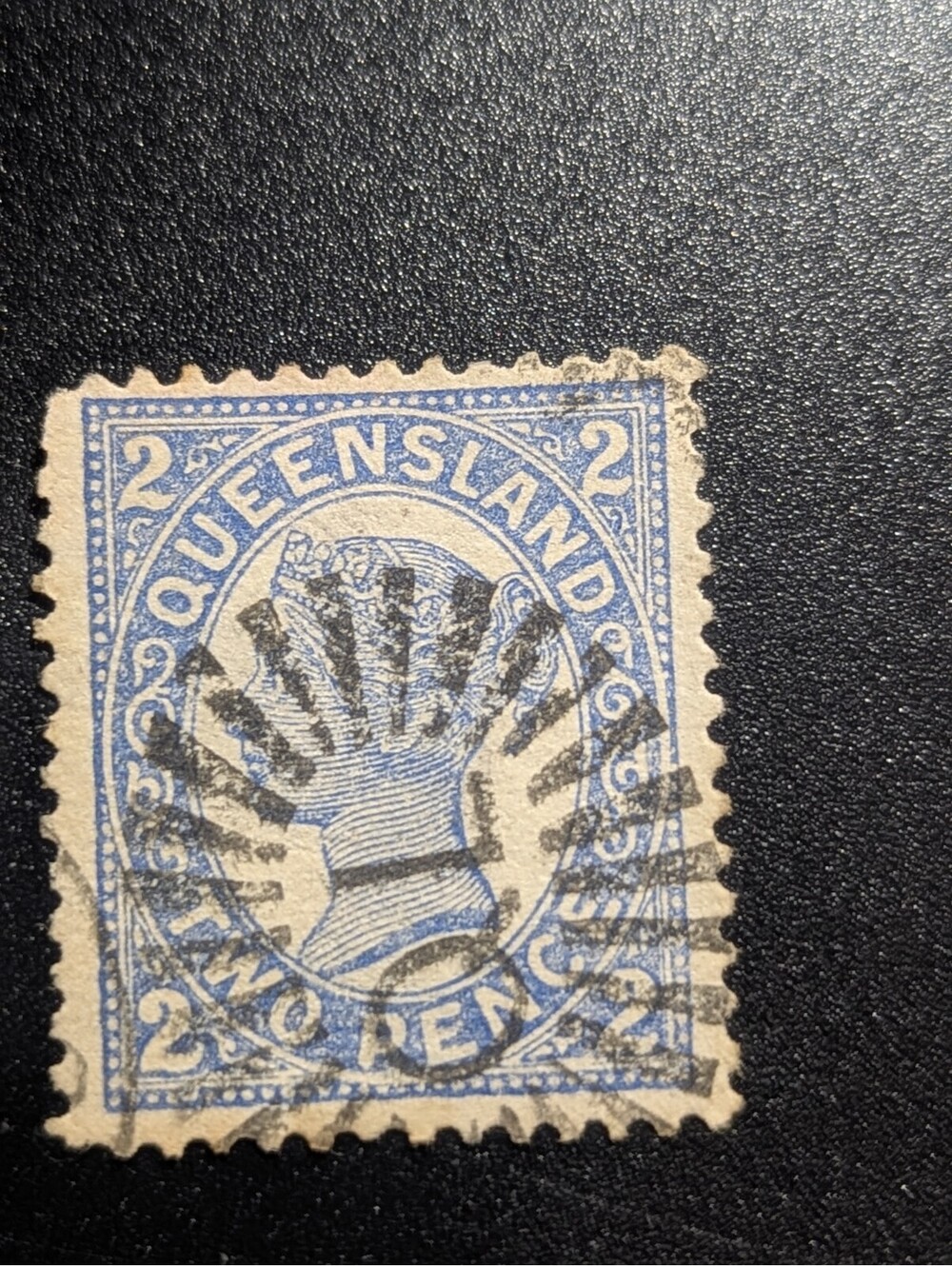 Queenland Scott #114 - Used